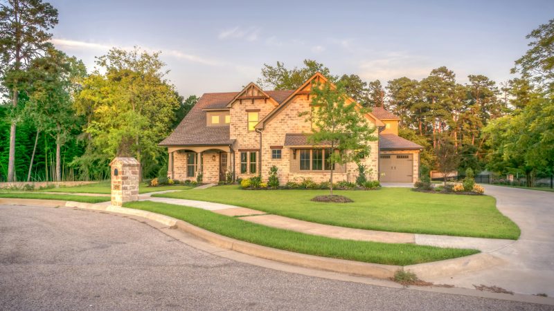 pexels-pixabay-259593